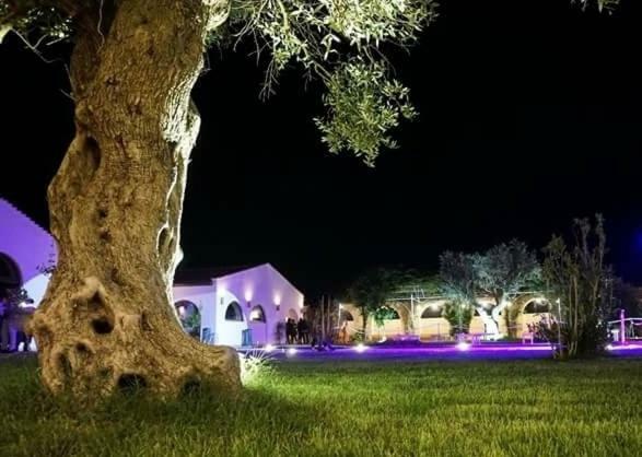 Masseria Colle Carro Ba07200451000019667 Altamura Exterior photo