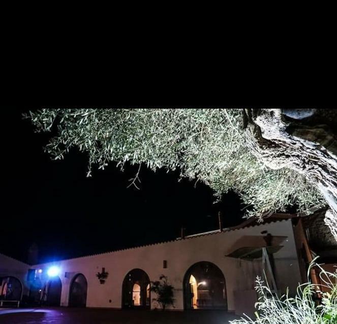 Masseria Colle Carro Ba07200451000019667 Altamura Exterior photo