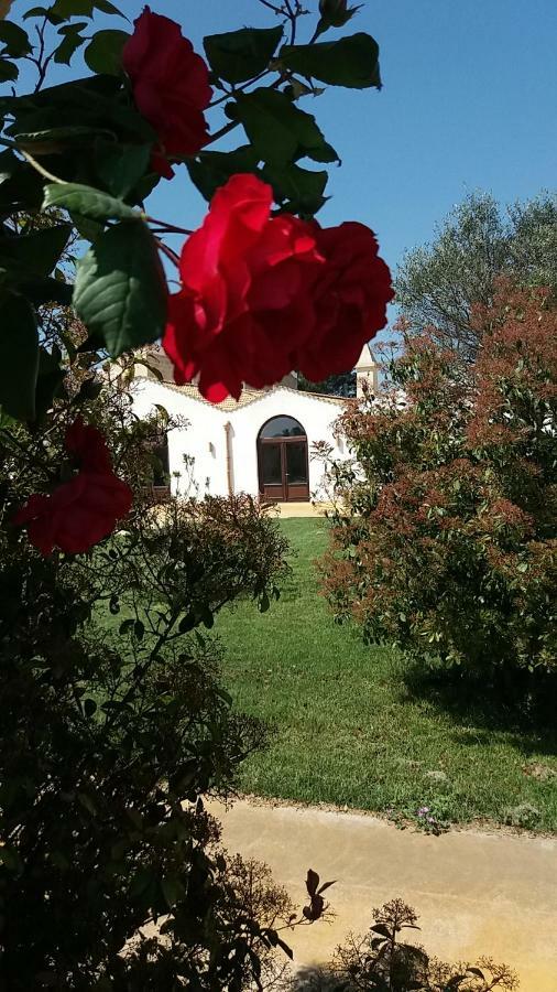 Masseria Colle Carro Ba07200451000019667 Altamura Exterior photo